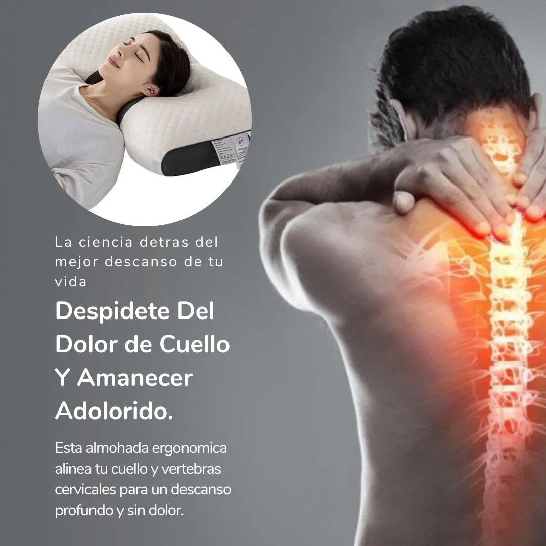 Oferta 2x1 | Dreamflex™  Almohada Ortopédica Premium